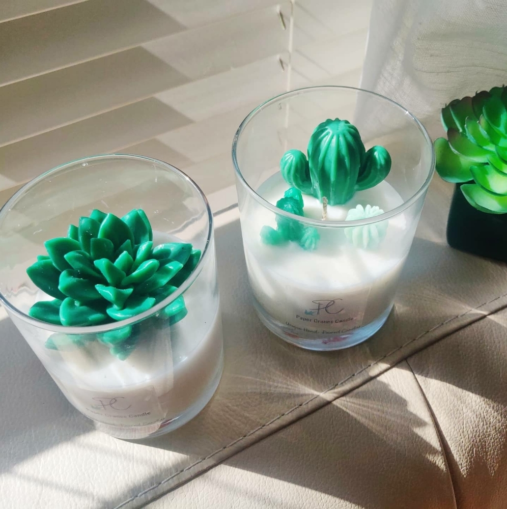 Mini terrarium succulent cactus soy wax candle